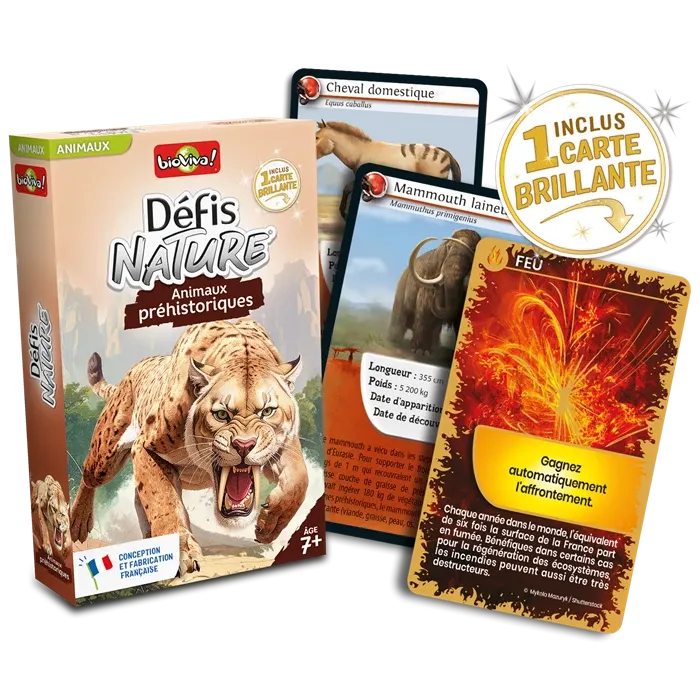 DEFIS NATURE ANIMAUX PREHISTORIQUES (FR), jeu de cartes