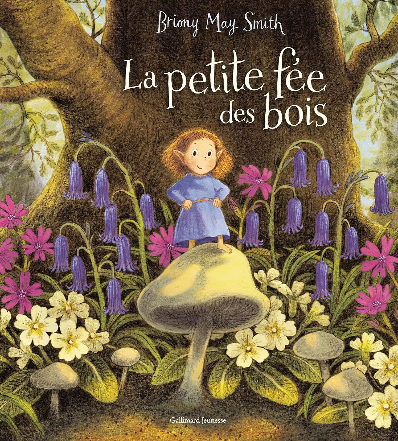 Livre La petite fée des bois, dès 3 ans
