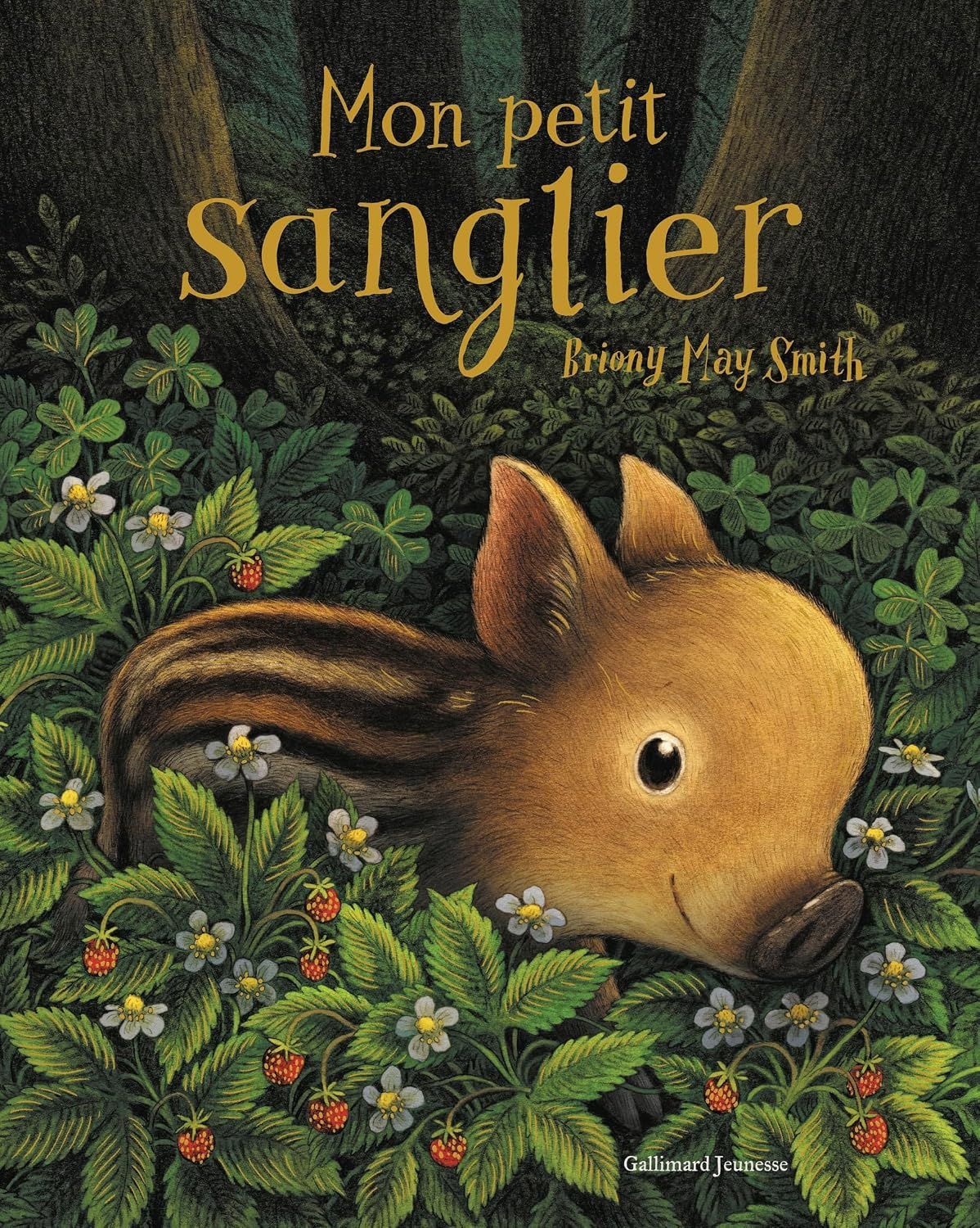 Livre Mon petit sanglier