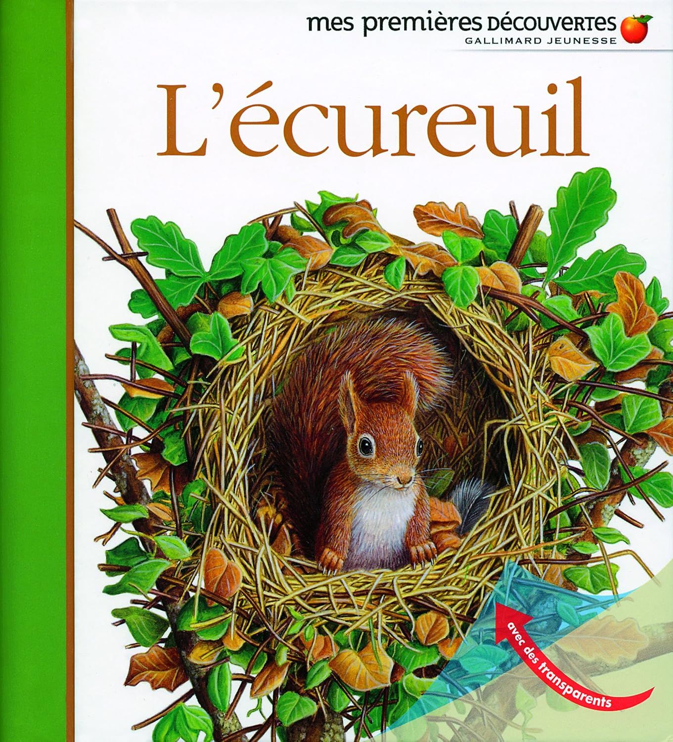 Livre Mes premières découvertes, l'écureuil