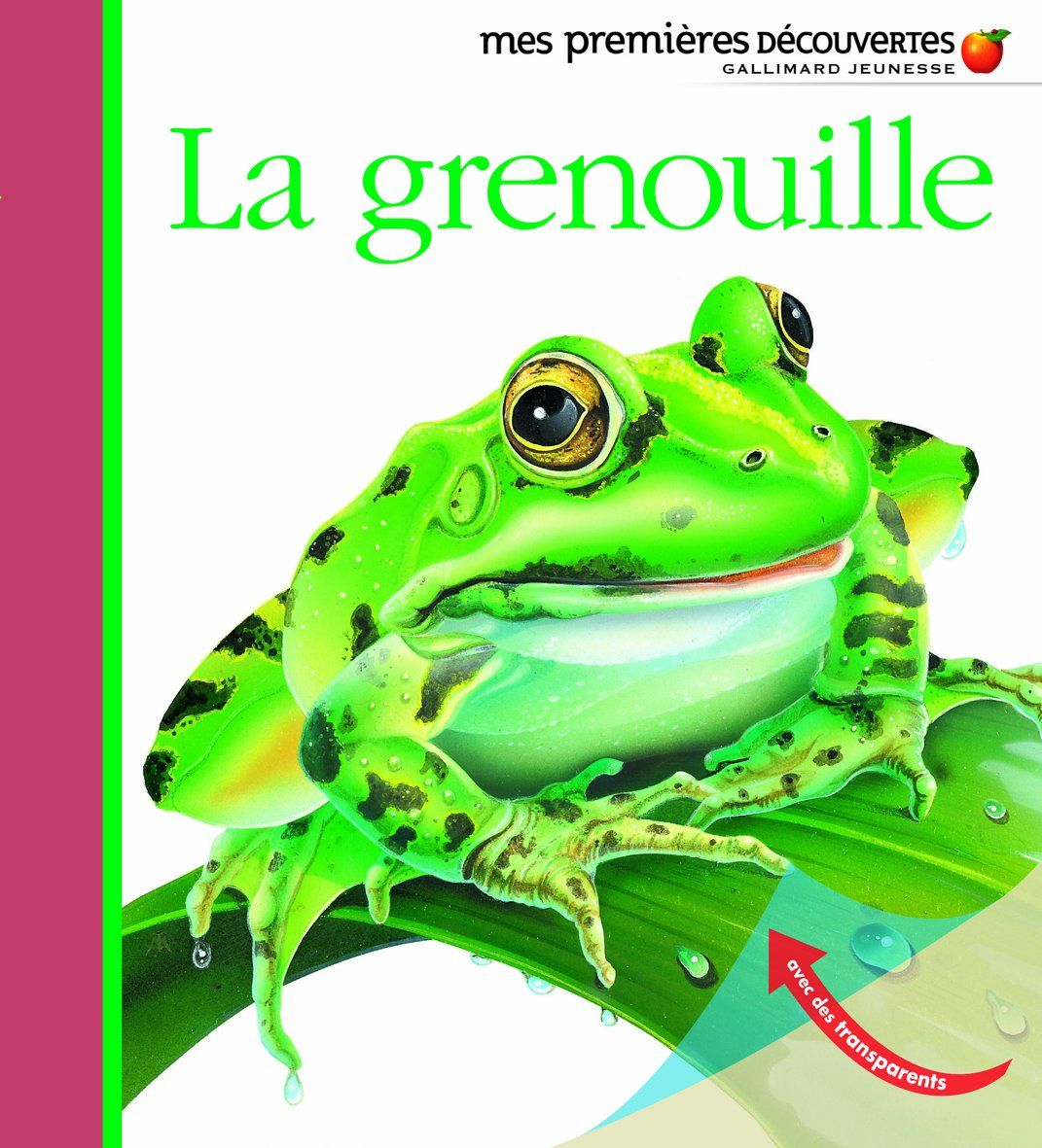 Livre mes premières découvertes, la grenouille