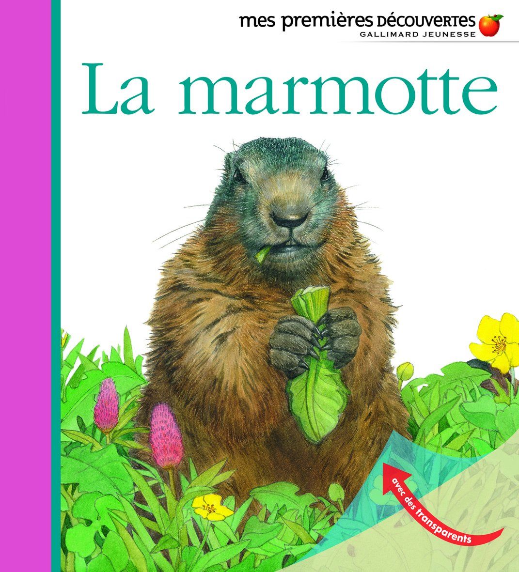 Livre mes premières découvertes, la marmotte