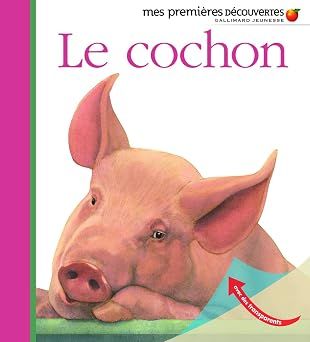 Livre mes premières découvertes, le cochon