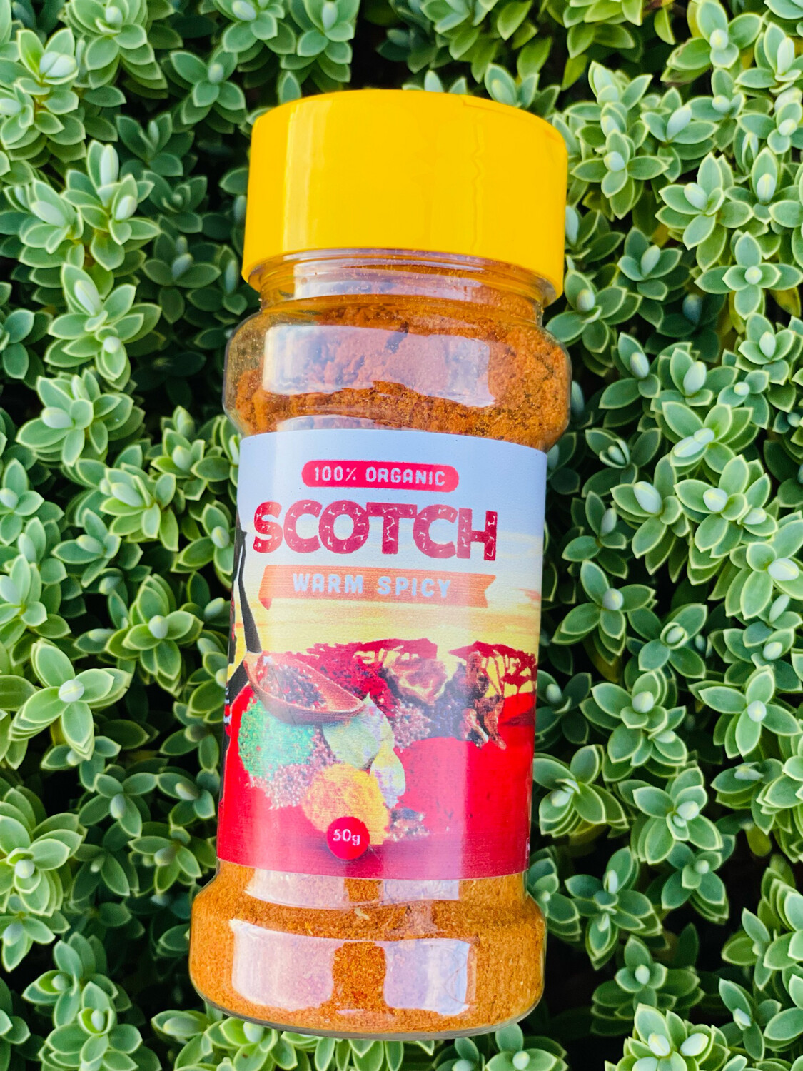 Scotch Warm Spicy, 50g