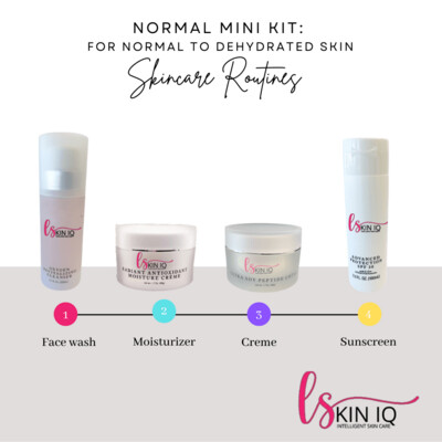 Normal Skin: Normal to Dehydrated (Mini Kit)