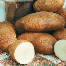 New Potatoes