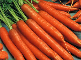 Bunched Carrots