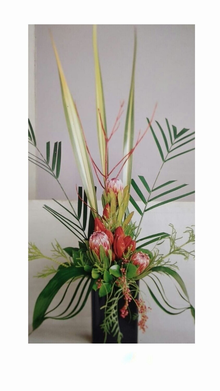 Plantas