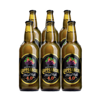 -5% Kopparberg Wild Mixed Fruits 500 ml 6 pack