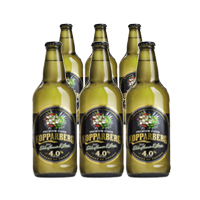 -5% Kopparberg Elderflower &amp; Lime 500 ml 6 pack