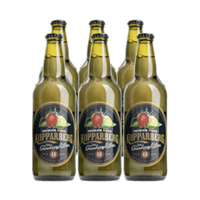 -5% Kopparberg Strawberry &amp; Lime 500 ml 6 pack