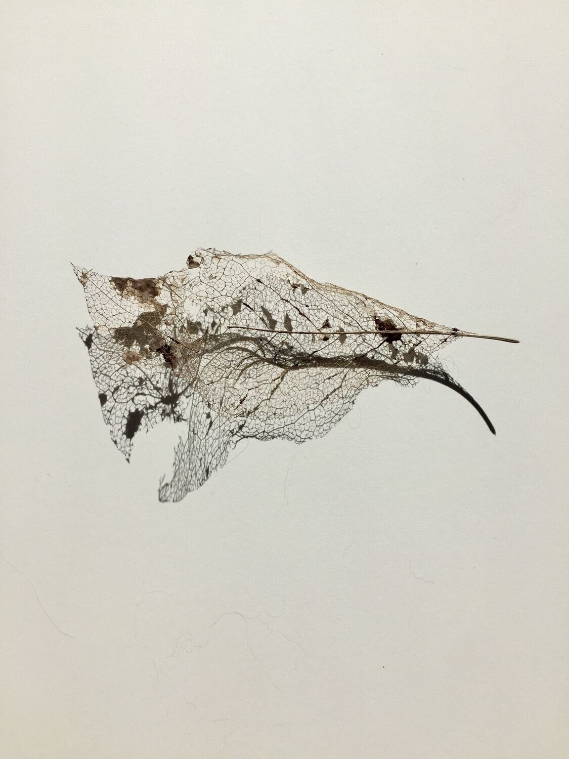 Tekening 01