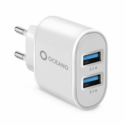 Wall Charger 10W ECO