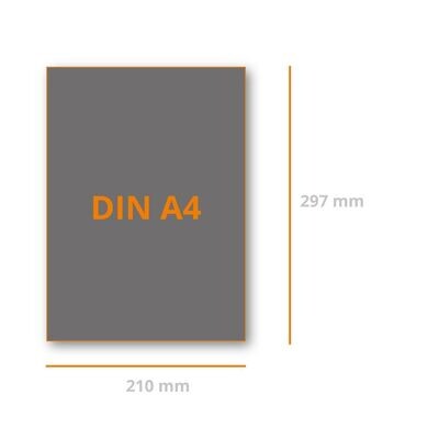 Farbverbindlicher Digitalproof DIN A4,
Staffelpreis ab € 3.25