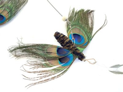 🦚Patty Peacock🦚
