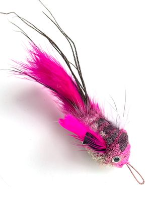 PinkSplash