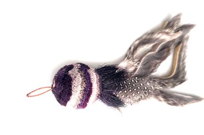 WhiskerWhirl