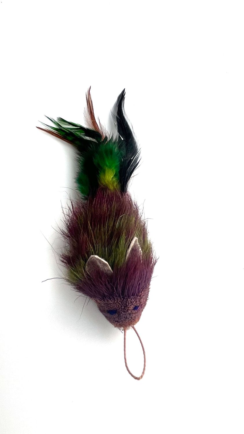 WhiskerWing