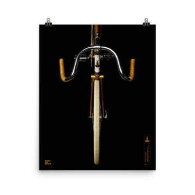 Custom Raleigh