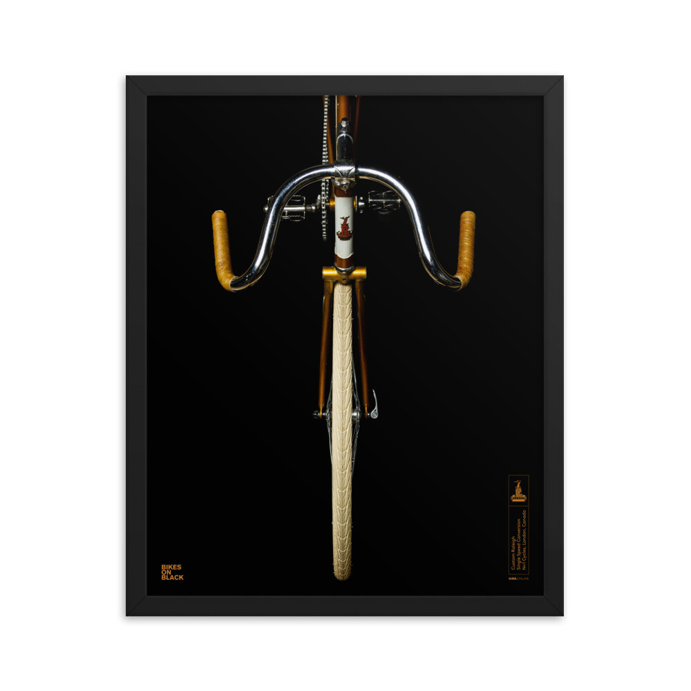 Framed Custom Raleigh - 16x20