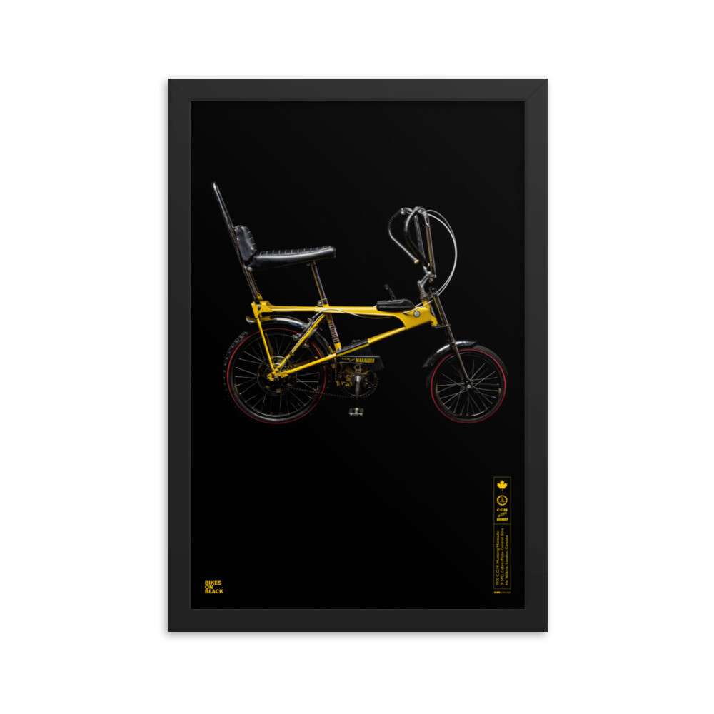 Framed C.C.M. Mustang Marauder - 12x18