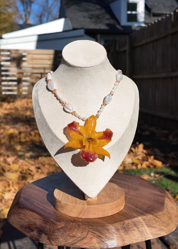 Athenas Yellow Cattleya