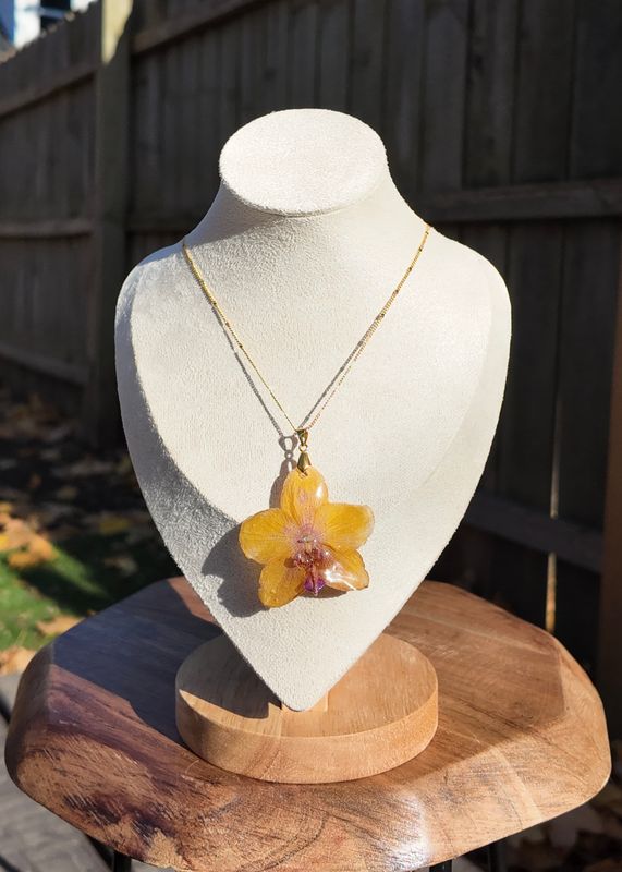 Yellow Orchid Set
