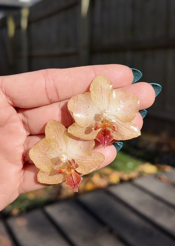 Light Orange Stud Earrings