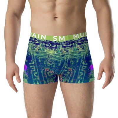 QUANTUM DOTS BOXER BRIEFS