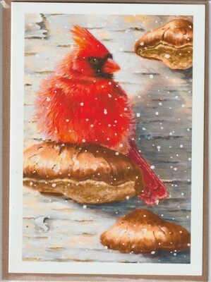 Firefly Field Prints  - Cards