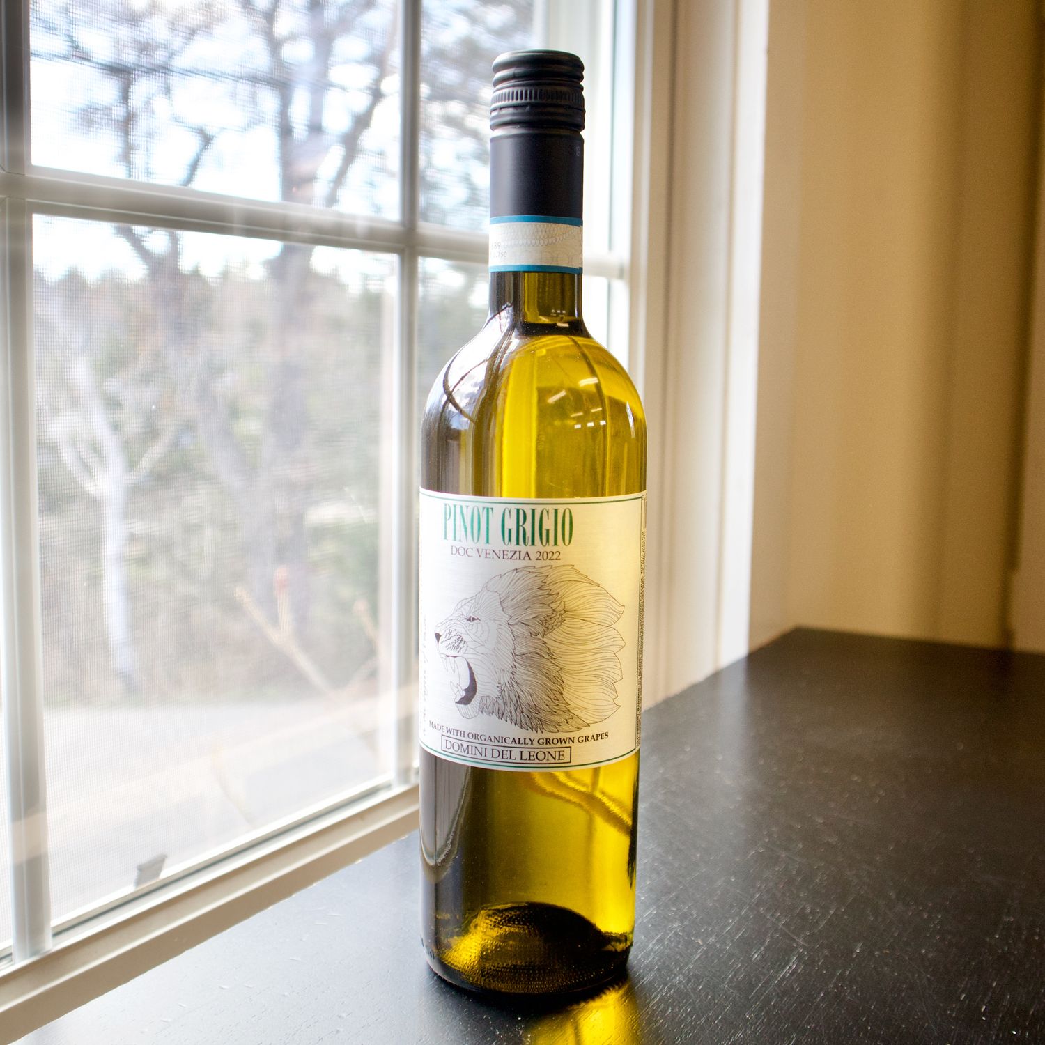 Domini Leone Pinot Grigio