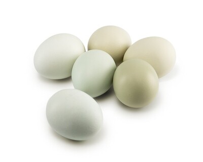 Яйцо куриное зеленое (без категории), Ферма М2, 10 шт