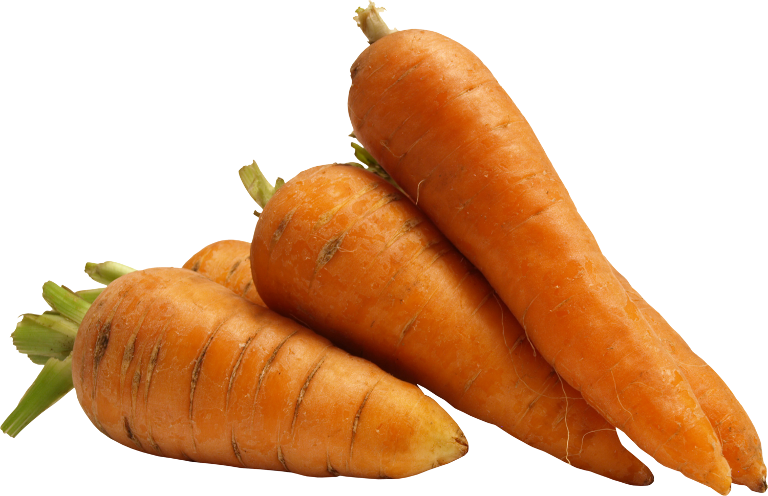 Морковь оранжевая, Органическая ферма ВЕСИ, 0.5 кг