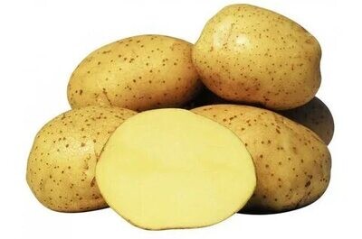Картофель желтый, Органическая ферма ВЕСИ, 1 кг