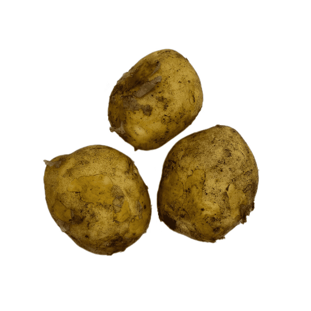 Картофель органический, КФХ Нестерова С.Н., 1 кг