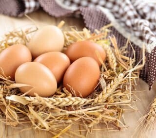 Яйцо куриное, Органическая ферма NOVA RUSSA, 10 шт