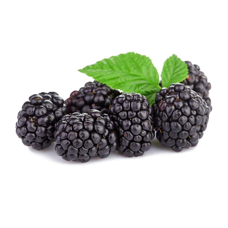 Картинка ежевика на белом фоне