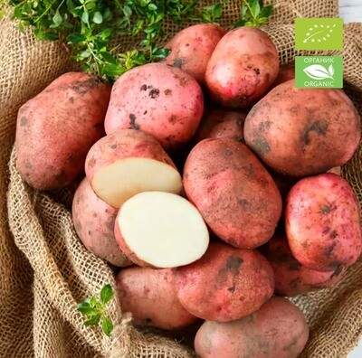 Картофель свежий ОРГАНИК, Эко-ферма "Рябинки", 2 кг