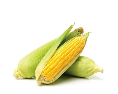 Кукуруза свежая, Иран, 1 шт