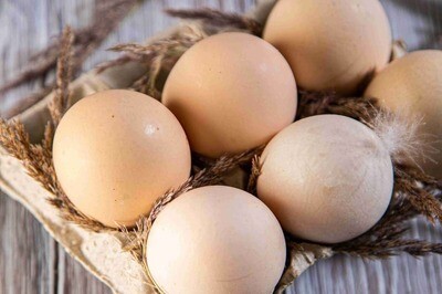 Яйцо куриное двухжелтковое, Ферма Евгения Рошаля, 8 шт
