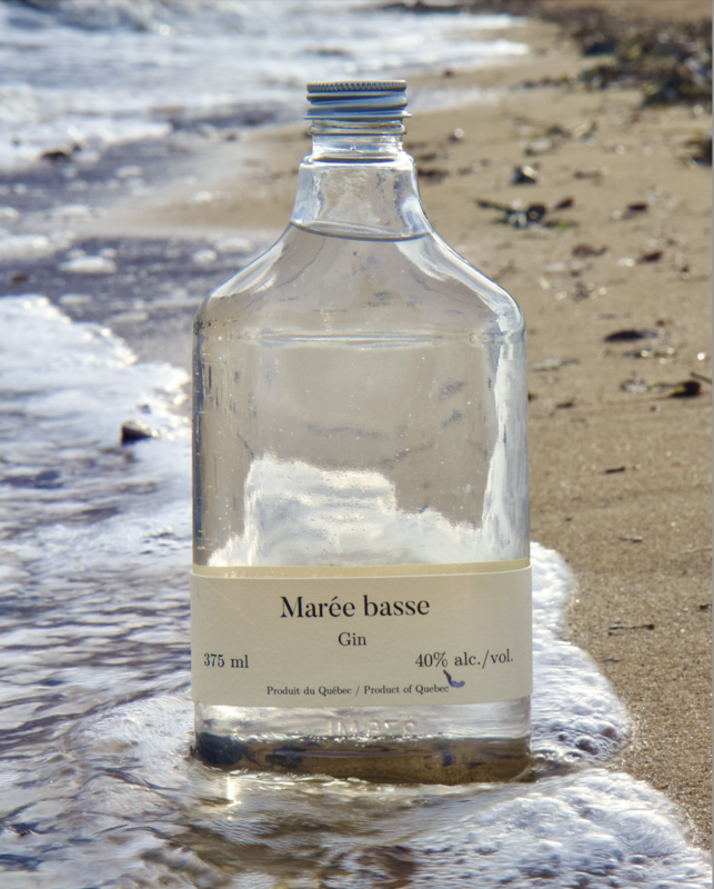 Marée basse