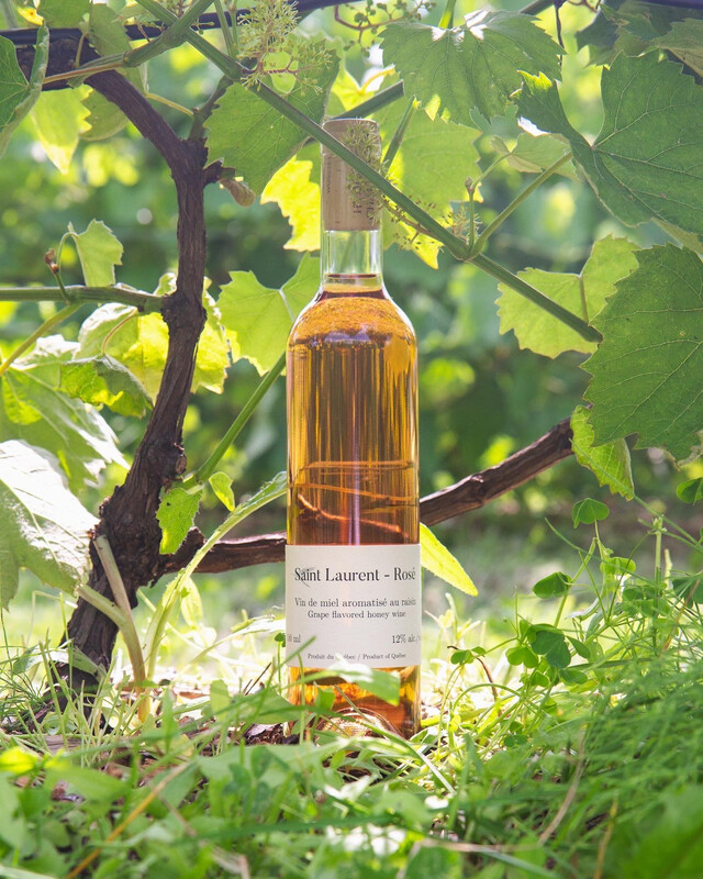Saint Laurent - Rosé