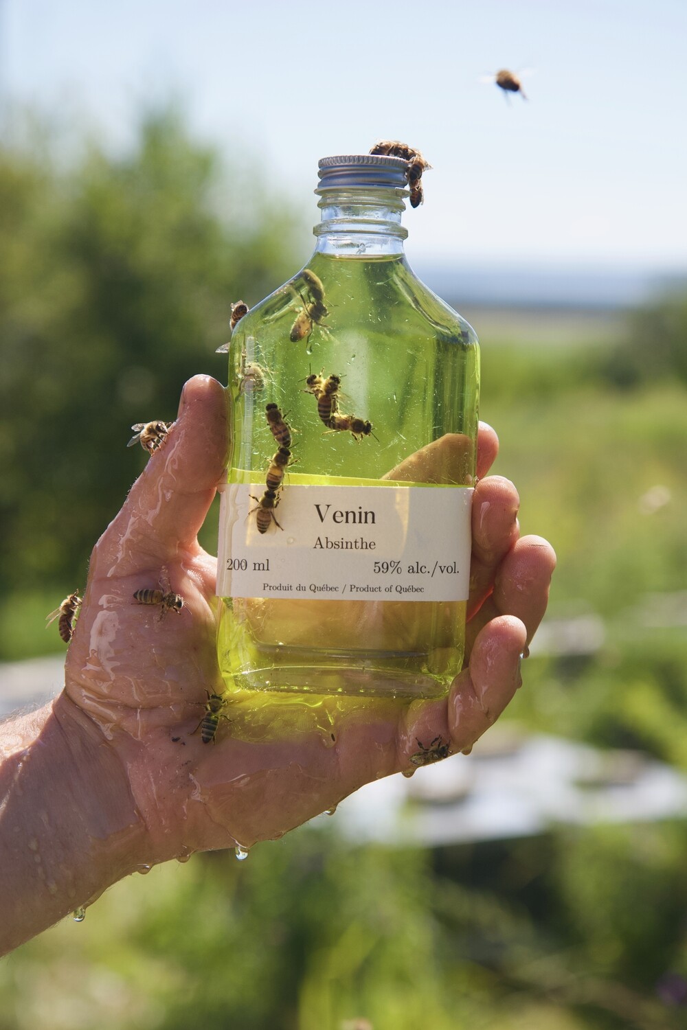 Absinthe Absinthe