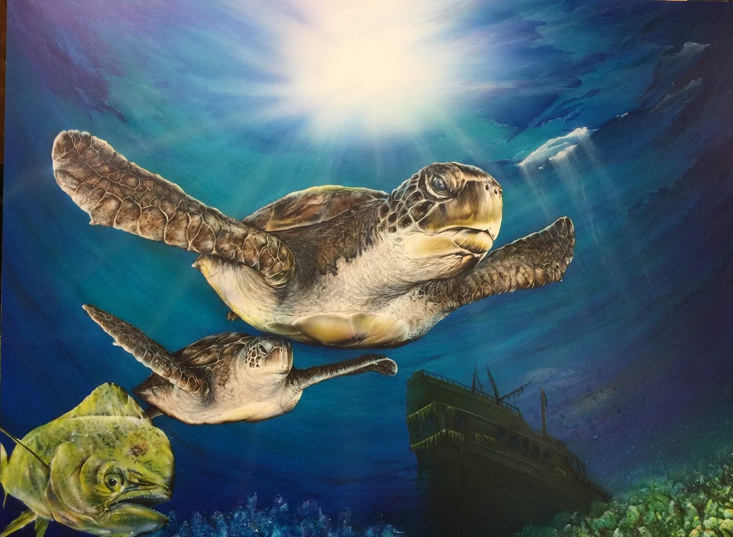 Sea Turtle III