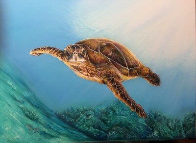 Sea Turtle I