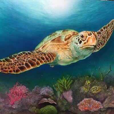 Sea Turtle II - Original