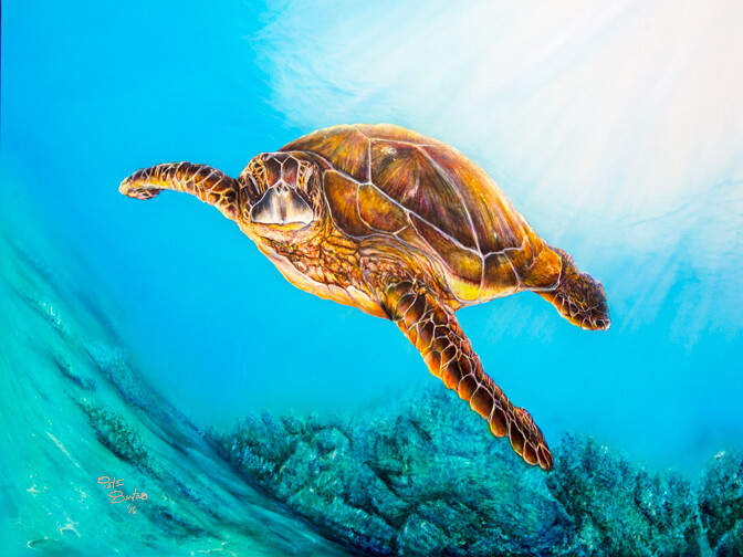 Sea Turtle I (Paper)