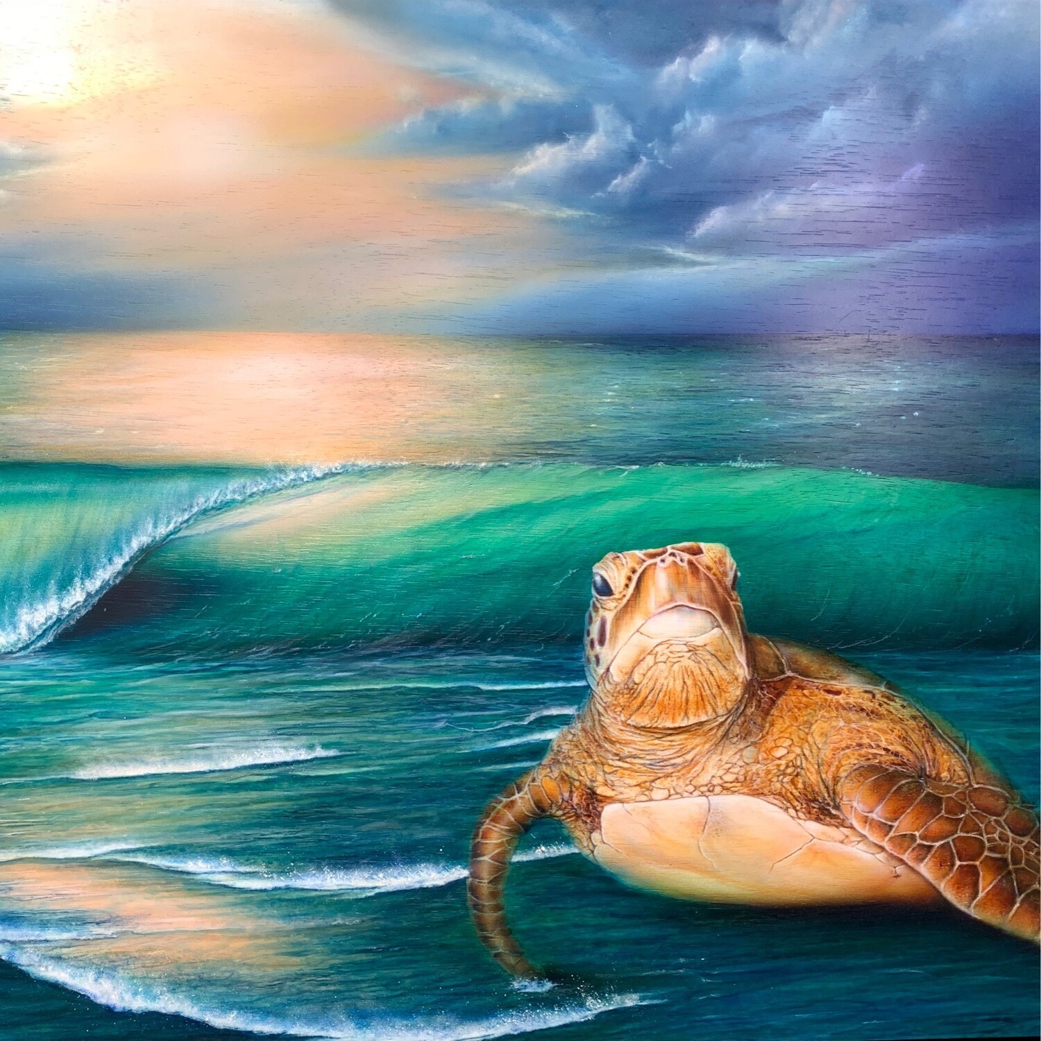 Honu V (Paper)