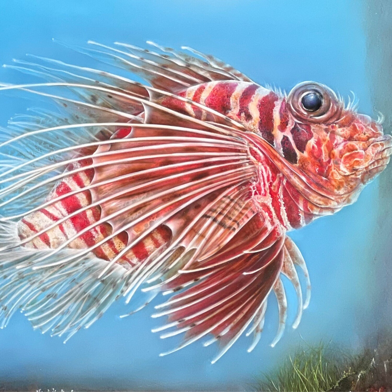 Lion fish (Paper)