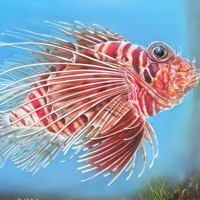 Lion fish (Paper)